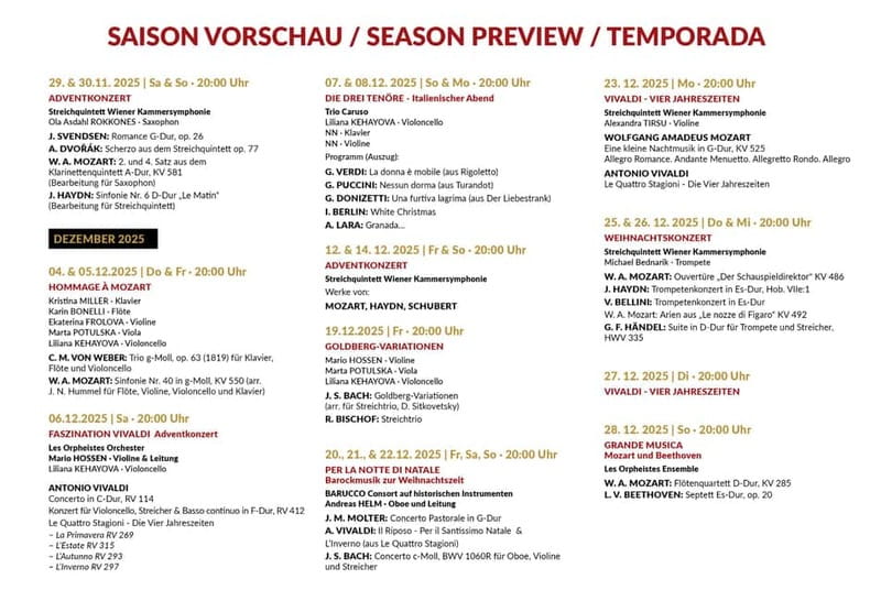 Vienna: Classical Concerts in the Minorite Church Ticket - Choosing your seat for a better view
