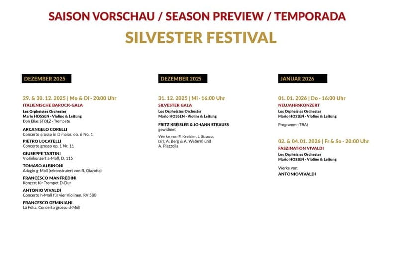 Vienna: Classical Concerts in the Minorite Church Ticket - Comfort, timing, and church etiquette