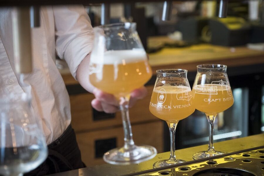 Vienna: Craft Beer Tasting Experience with Local Snacks - Learning how Austrian beer is made