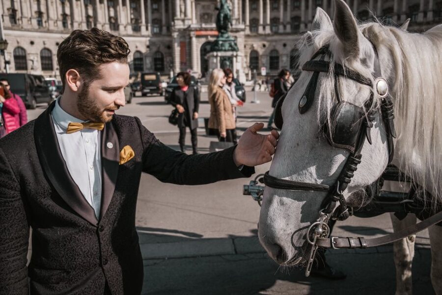 Vienna: Culinary Horse-Drawn Carriage Experience - Key Points Before You Book