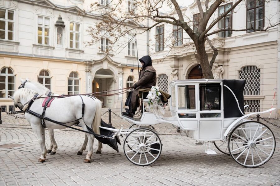 Vienna: Culinary Horse-Drawn Carriage Experience - The Route Through Vienna’s Historic Center