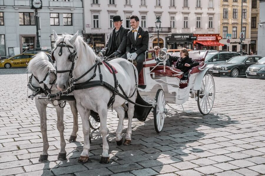 Vienna: Culinary Horse-Drawn Carriage Experience - Is $229 Good Value?