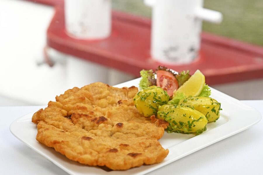 Vienna: Danube River Cruise w/ optional Viennese Specialties - Key Points To Know Before You Sail