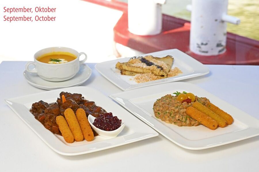 Vienna: Danube River Cruise w/ optional Viennese Specialties - What This Danube Cruise Actually Shows You