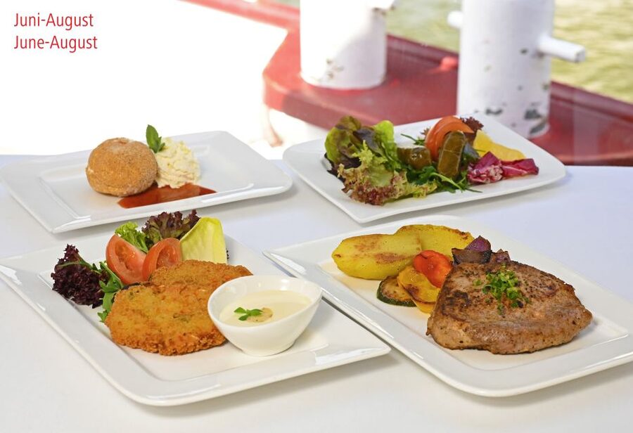 Vienna: Danube River Cruise w/ optional Viennese Specialties - Industrial Vienna And The Return To Reichsbrücke