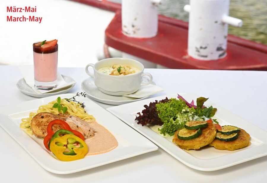 Vienna: Danube River Cruise w/ optional Viennese Specialties - Boarding At The DDSG Blue Danube Ticket Office