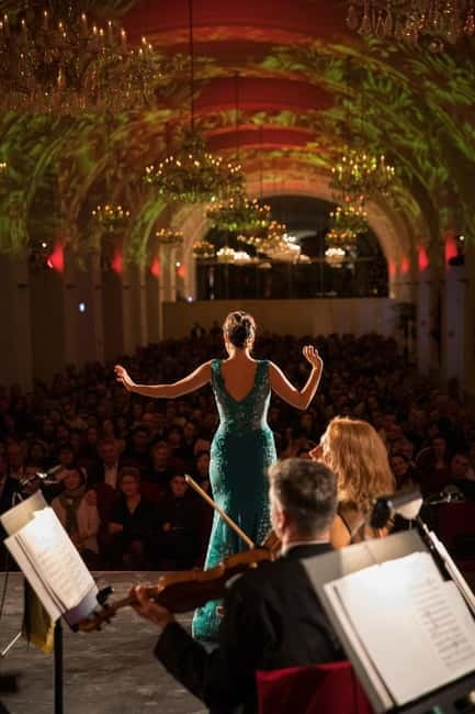 Vienna: Dinner & Concert at Schönbrunn Palace - What the meal is really worth