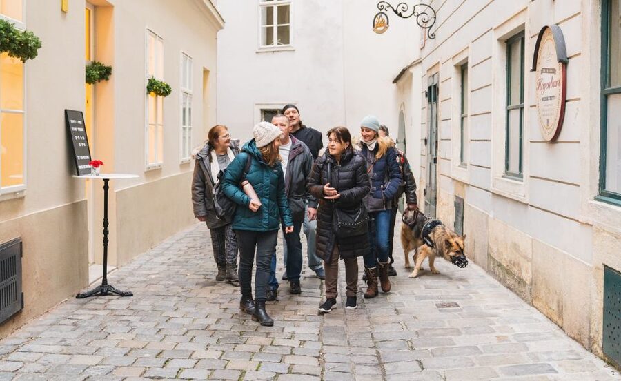 Vienna: Educational Walk Exploring Homelessness - Hearing a personal story alongside the facts
