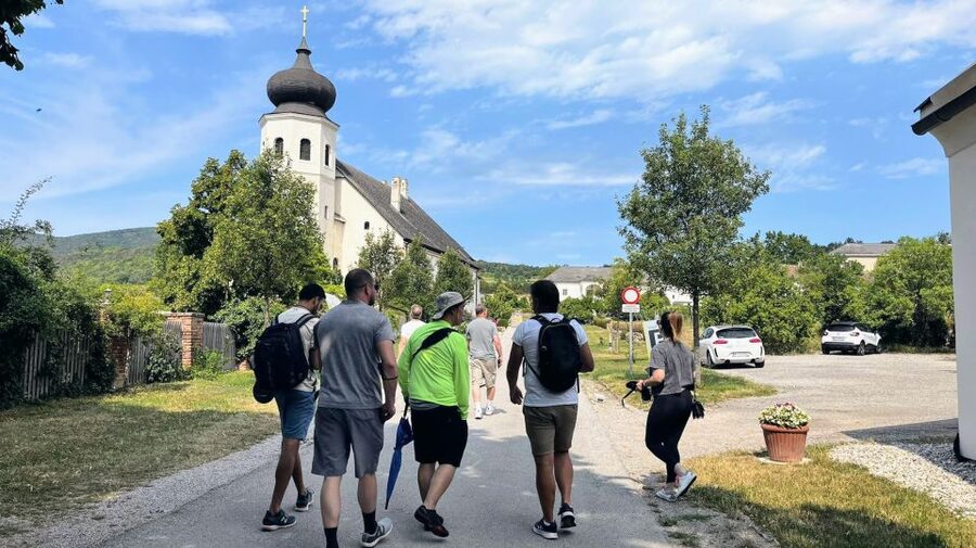 Vienna: Full-Day Vienna Woods Wine Tasting Tour - Key points to know before booking