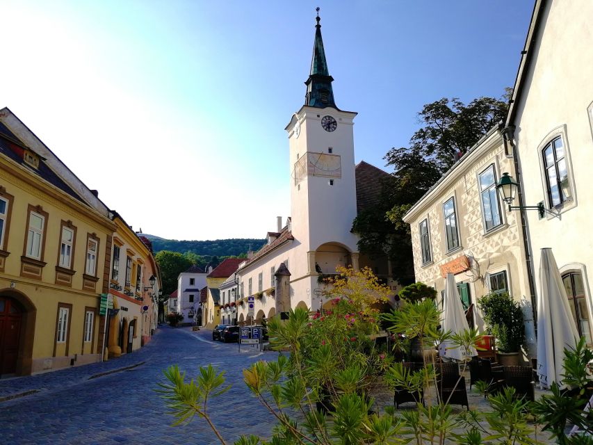 Vienna: Full-Day Vienna Woods Wine Tasting Tour - Who should book this day outside Vienna?