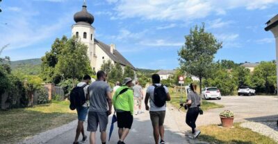 Full-Day Vienna Woods Wine Tasting Tour