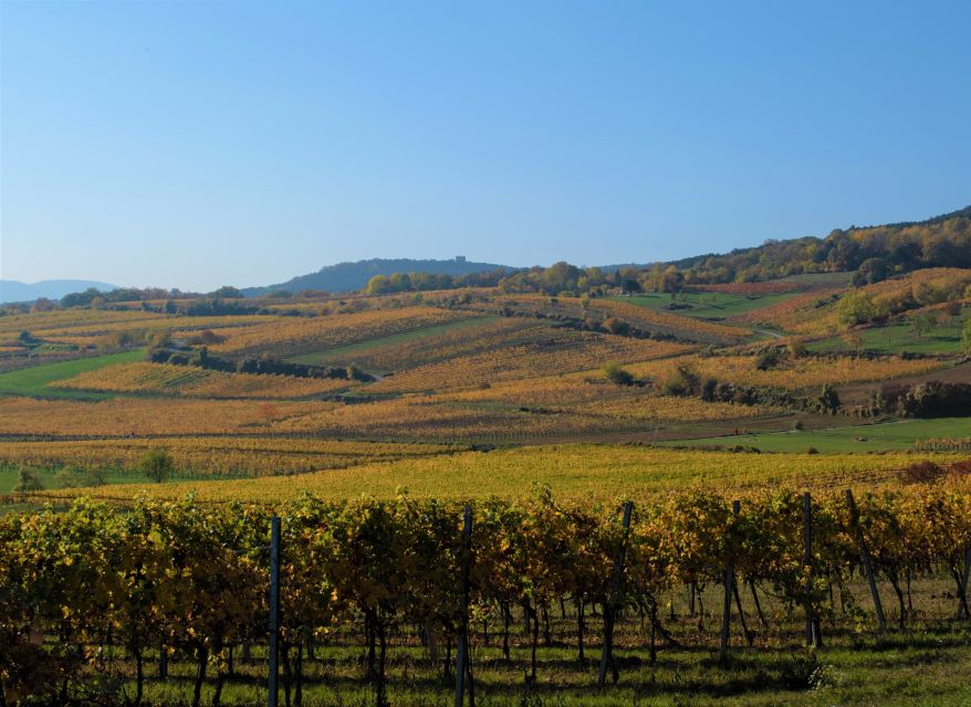 Vienna: Full-Day Vienna Woods Wine Tasting Tour - Gumpoldskirchen and the Austrian wine tavern