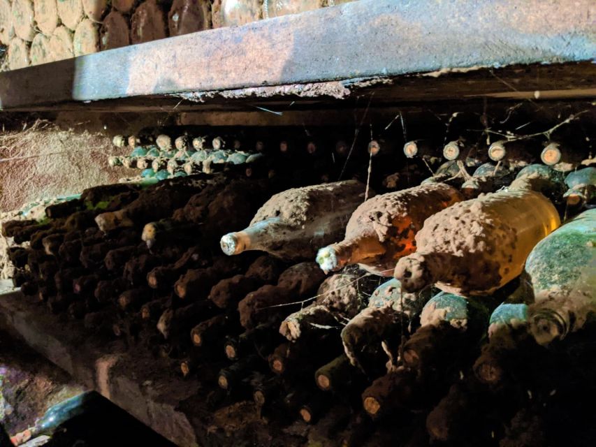 Vienna: Full-Day Vienna Woods Wine Tasting Tour - The winter route from November through March