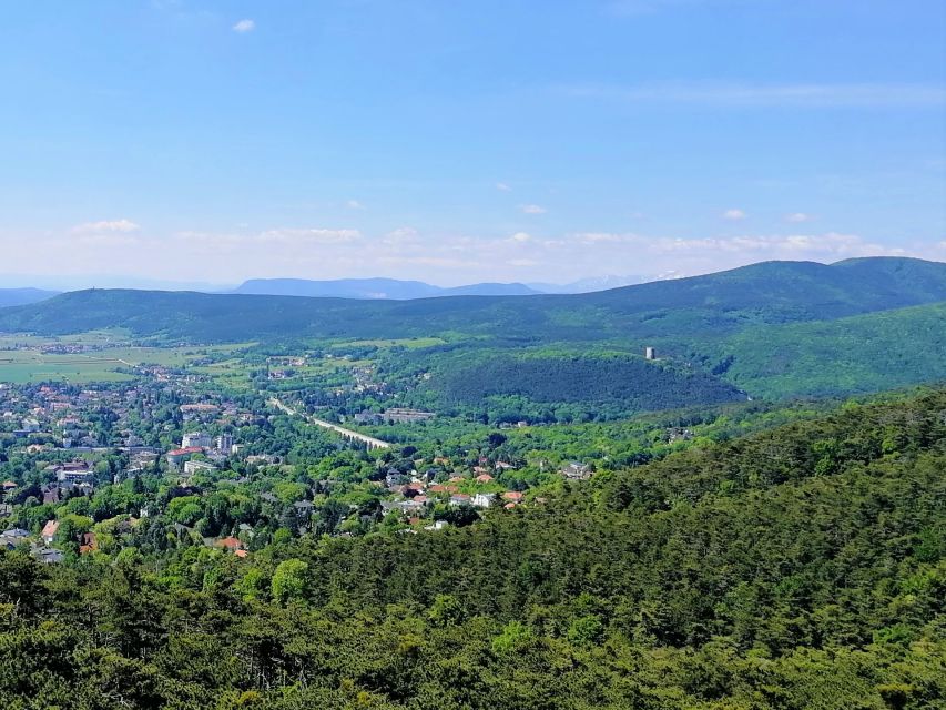 Vienna: Full-Day Vienna Woods Wine Tasting Tour - Is $187 a fair price?