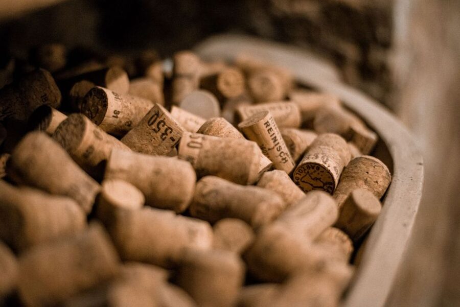Vienna: Hidden Wine Cellars Tasting Experience - Key points to know before booking