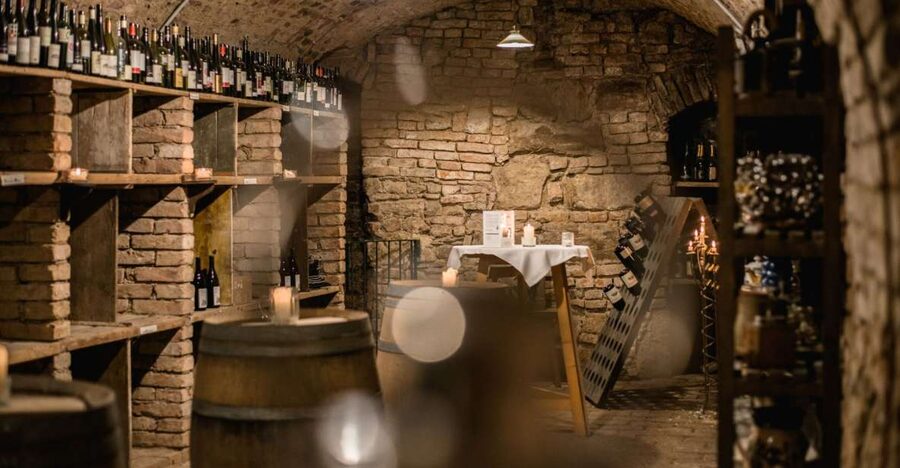 Vienna: Hidden Wine Cellars Tasting Experience - Why Vienna’s wine story starts under the city