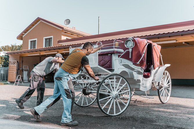 Vienna Horse-drawn Carriage Guided Tour - Is $39.16 a fair price?