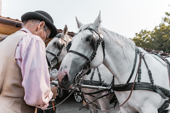 Vienna Horse-drawn Carriage Guided Tour - Families, strollers, and practical comfort