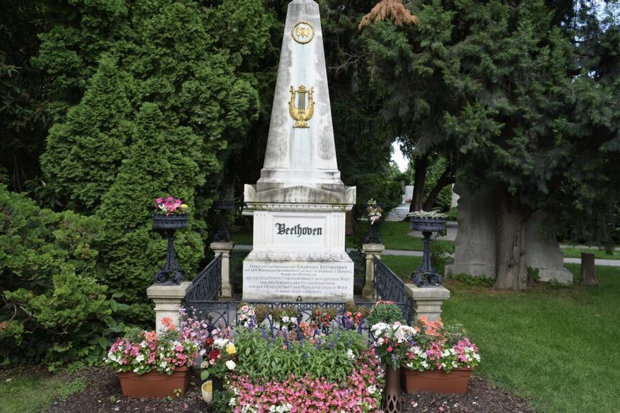 Vienna_ Meet Beethoven Life Private Guided Walking Tour - Beethoven’s Statue and Vienna’s Grand Center