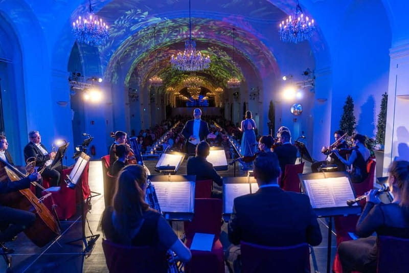 Vienna: Mozart and Strauss Concert at Schönbrunn - Seating categories and the real value of VIP