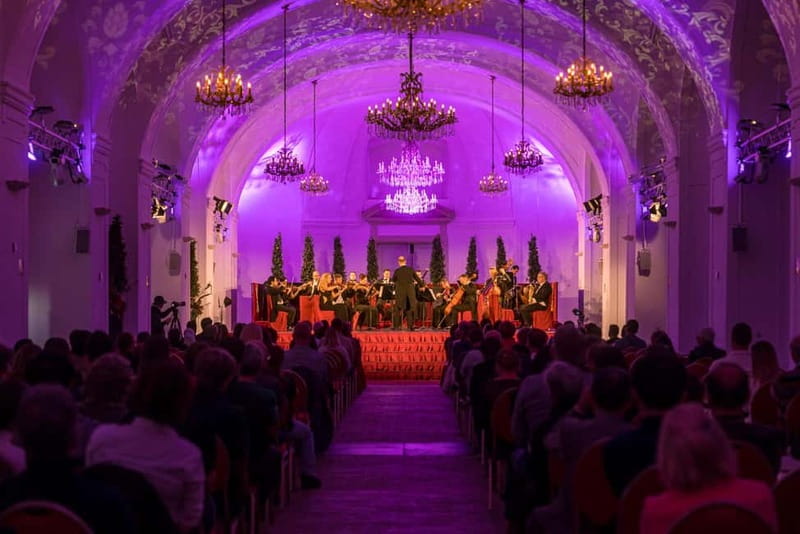 Vienna: Mozart and Strauss Concert at Schönbrunn - How to make the evening run smoothly