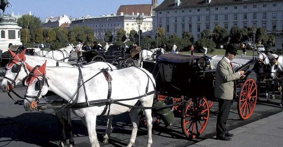 Vienna: Mozart Concert with Dinner and Carriage Ride - Key details before you book