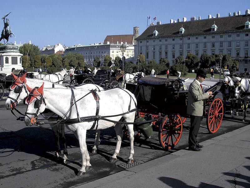 Vienna: Mozart Concert with Dinner and Carriage Ride - A practical booking checklist
