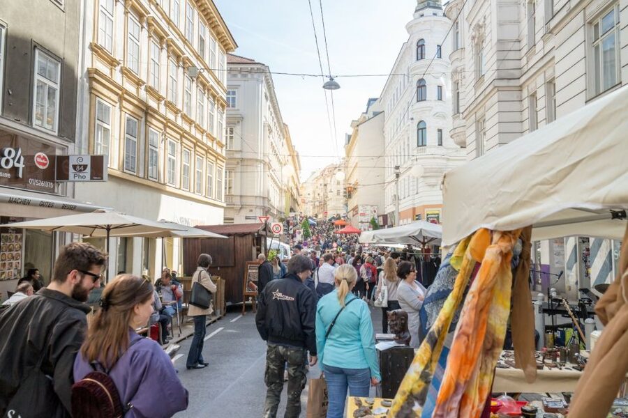 Vienna: Mozart Private Guided Tour - Stephansplatz, the Column of Pest, and the Hofburg