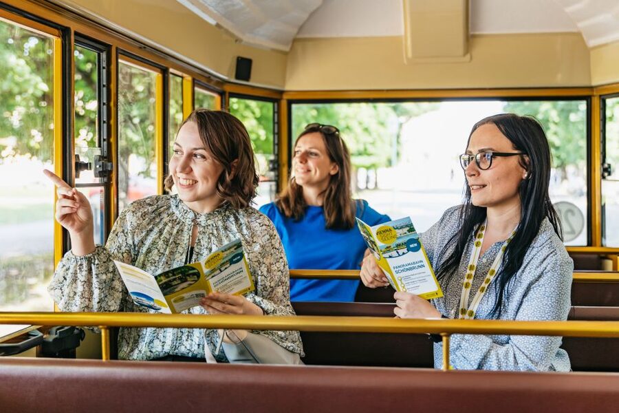 Vienna: Panorama Train Tickets to explore Schönbrunn Palace - Reaching the Gloriette without the hard climb
