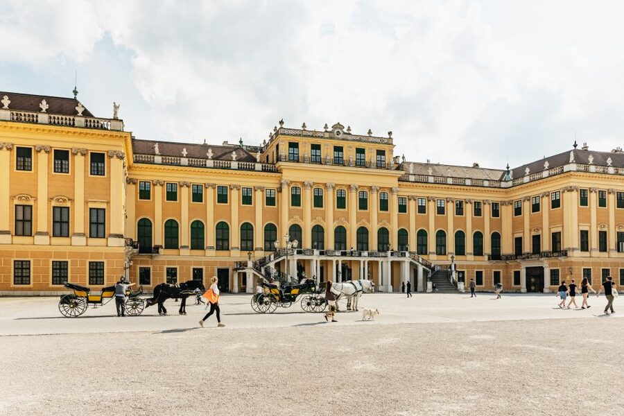Vienna: Panorama Train Tickets to explore Schönbrunn Palace - The gardens, flowers, and changing views