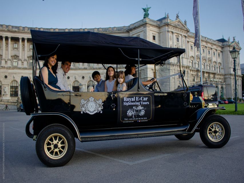 Vienna: Private Electric Car Sightseeing Tour - Who will enjoy this most