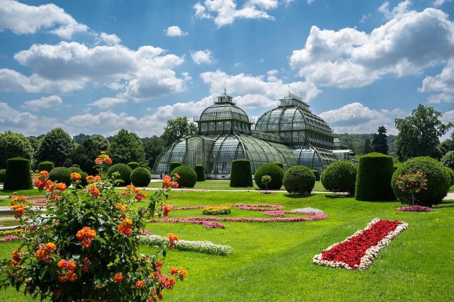 Vienna Private Full Day Tour – Tickets to Schönbrunn & Lunch - Cappuccino and city views at the Gloriette