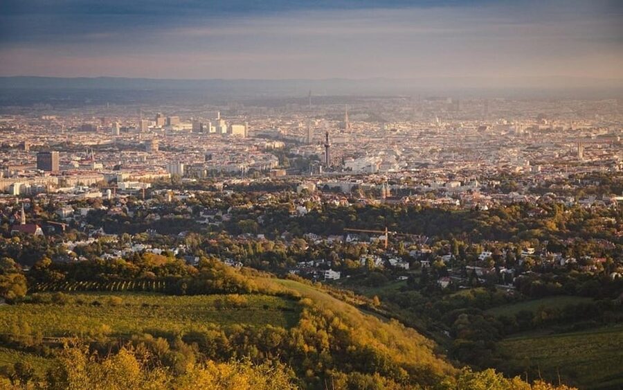 Vienna: Private Half-Day Sightseeing Tour - Vienna State Opera and the city’s musical identity
