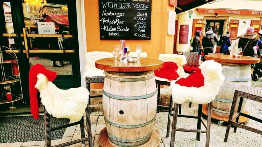 Vienna: Private tour from Vienna to Graz - Practical planning for the day