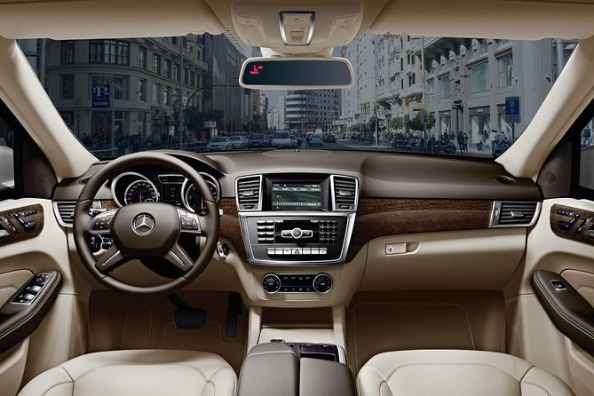 Vienna Private Transfer from Vienna Airport to City centre - Meeting your driver after landing