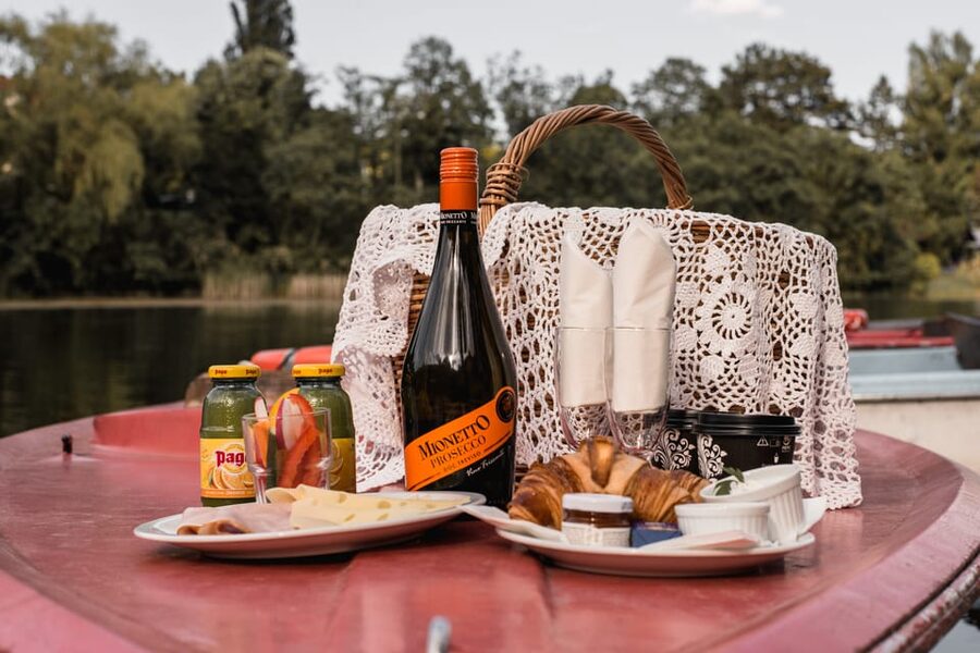 Vienna: Retro Boat Tour on the Danube River with Picnic - Two Hours in a Chic Electric Retro Boat