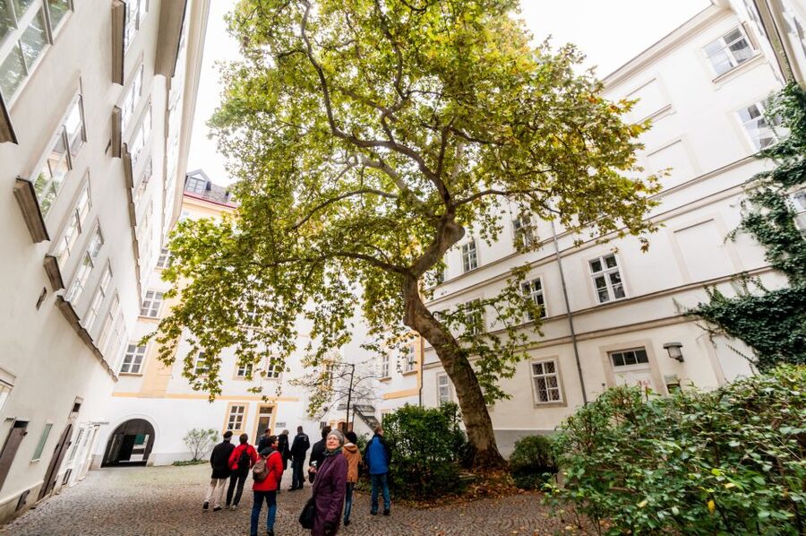 Vienna: Romantic Old Town 2-Hour Discovery Tour - The Jesuit quarter and the old university