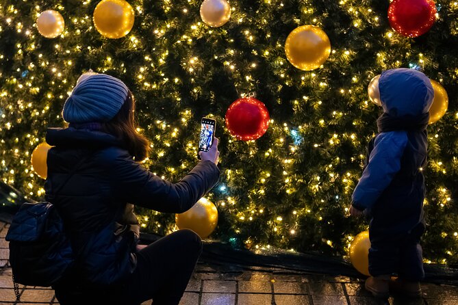 Vienna's Christmas Market Magic Tour - Key points to know before booking