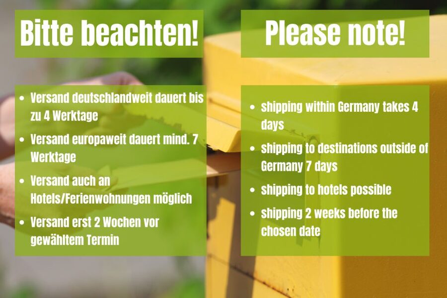 Vienna: Scavenger Hunt Self-Guided Tour - Key details at a glance