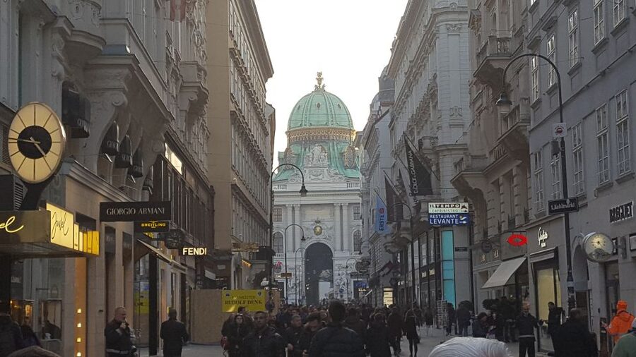 Vienna: Schönbrunn Palace and City Center Guided Tour - What The $81 Price Really Includes