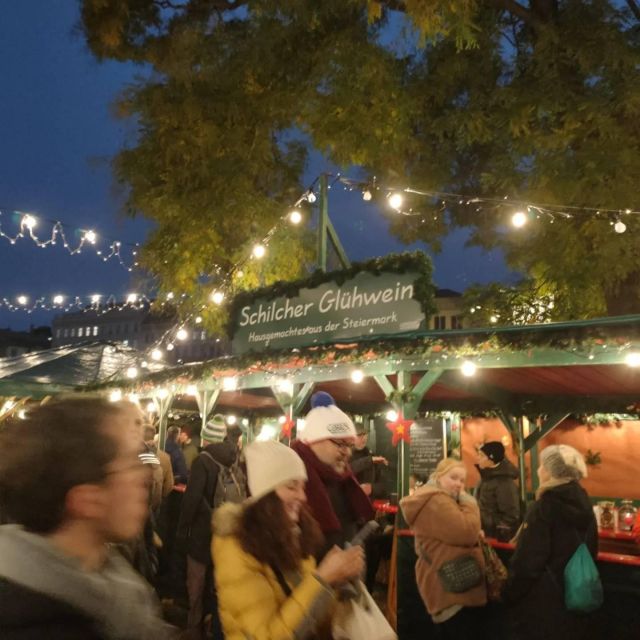 Vienna: Schönbrunn Palace & Christmas Market Walking Tour - How to make the most of your visit