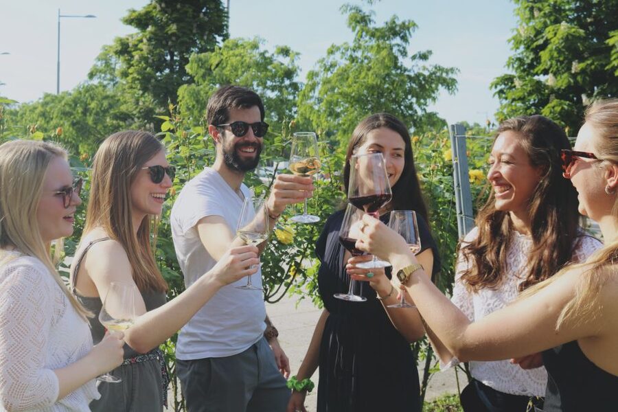 Vienna: Schönbrunn Palace Entry Ticket and Wine Tasting - Finding Joseph II and collecting your palace ticket
