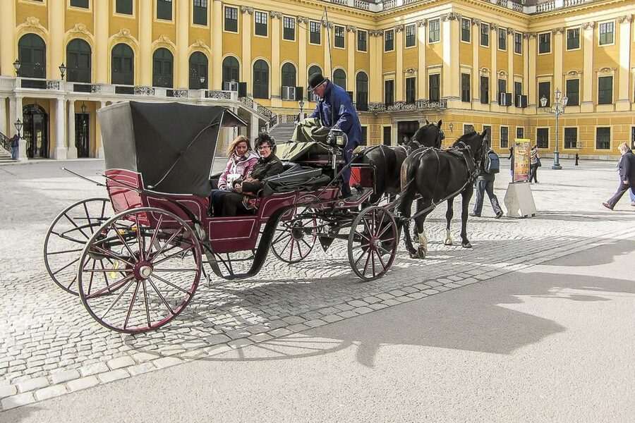 Vienna: Schönbrunn Palace & Gardens Skip-the-Line Tour - Who Will Enjoy This Tour Most?