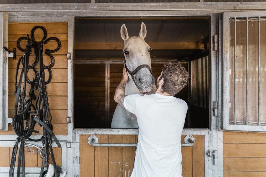 Vienna: Secrets of the Fiaker & Horse-Drawn Carriage Ride - Key things to know before you book