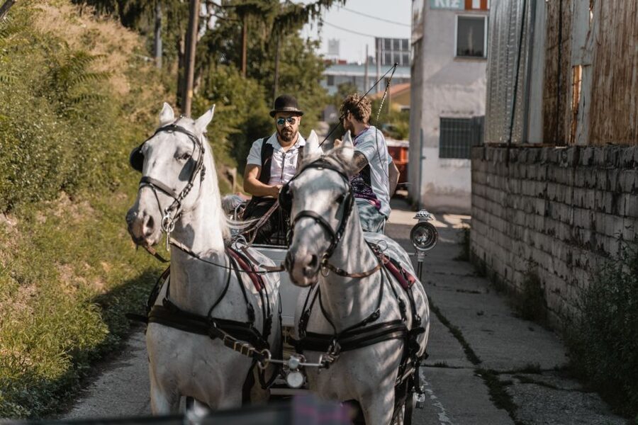 Vienna: Secrets of the Fiaker & Horse-Drawn Carriage Ride - Who will enjoy this most