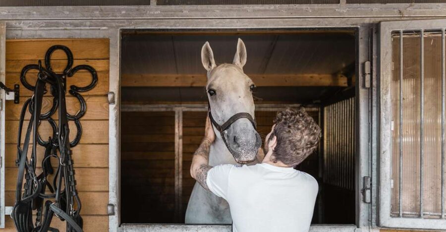 Vienna: Secrets of the Fiaker & Horse-Drawn Carriage Ride - Inside the original Viennese Fiaker horse center