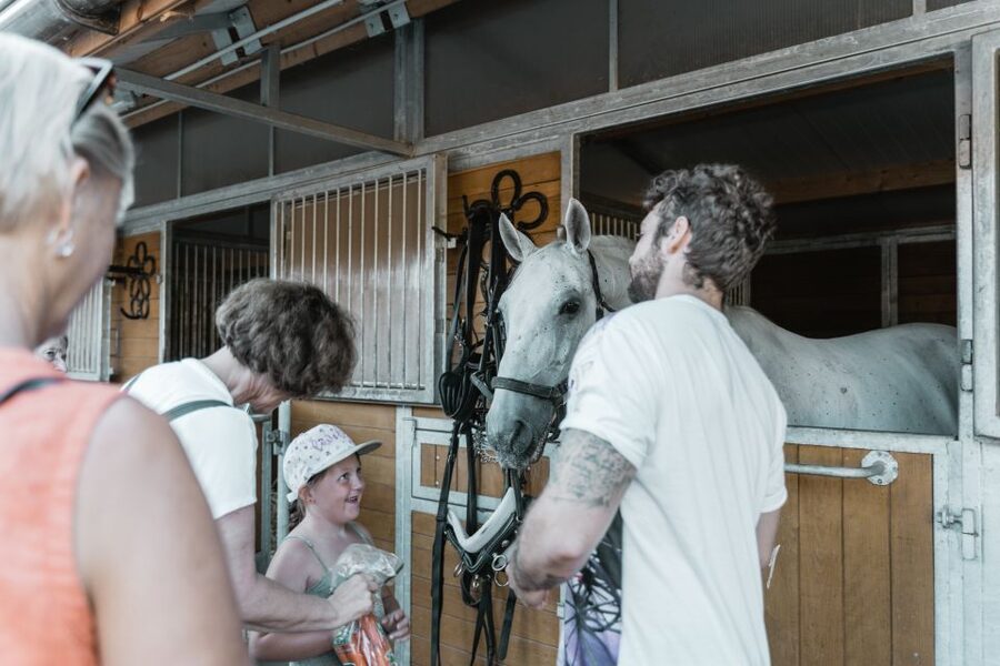 Vienna: Secrets of the Fiaker & Horse-Drawn Carriage Ride - The optional Falco breakfast