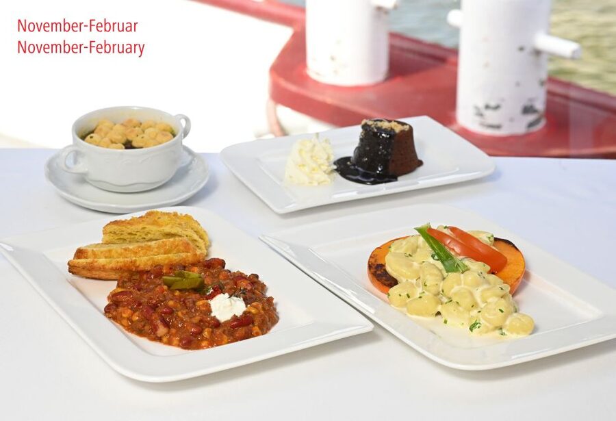 Vienna: Sightseeing Boat Tour with Lunch - A relaxing ride, not a fast sightseeing checklist