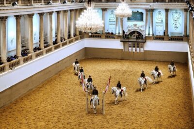 Spanish Riding School 45-Minute Performance Show