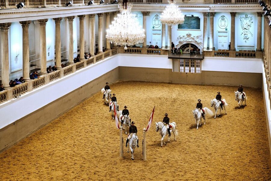 Vienna: Spanish Riding School 45-Minute Performance Show - Why the Lipizzan horses are the main attraction